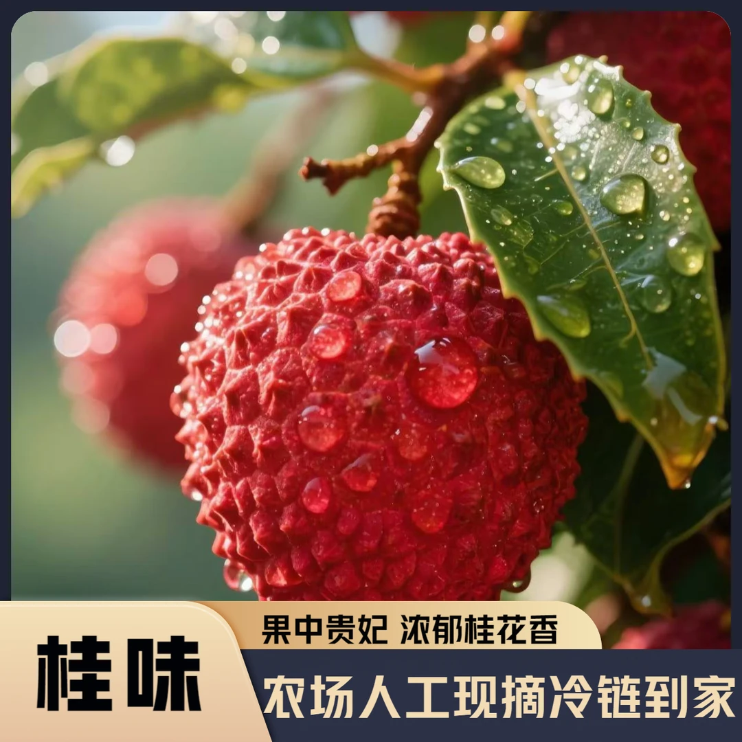 【顺丰京东空运】果中贵妃荔枝人工严选桂味现摘现发爆甜多汁B