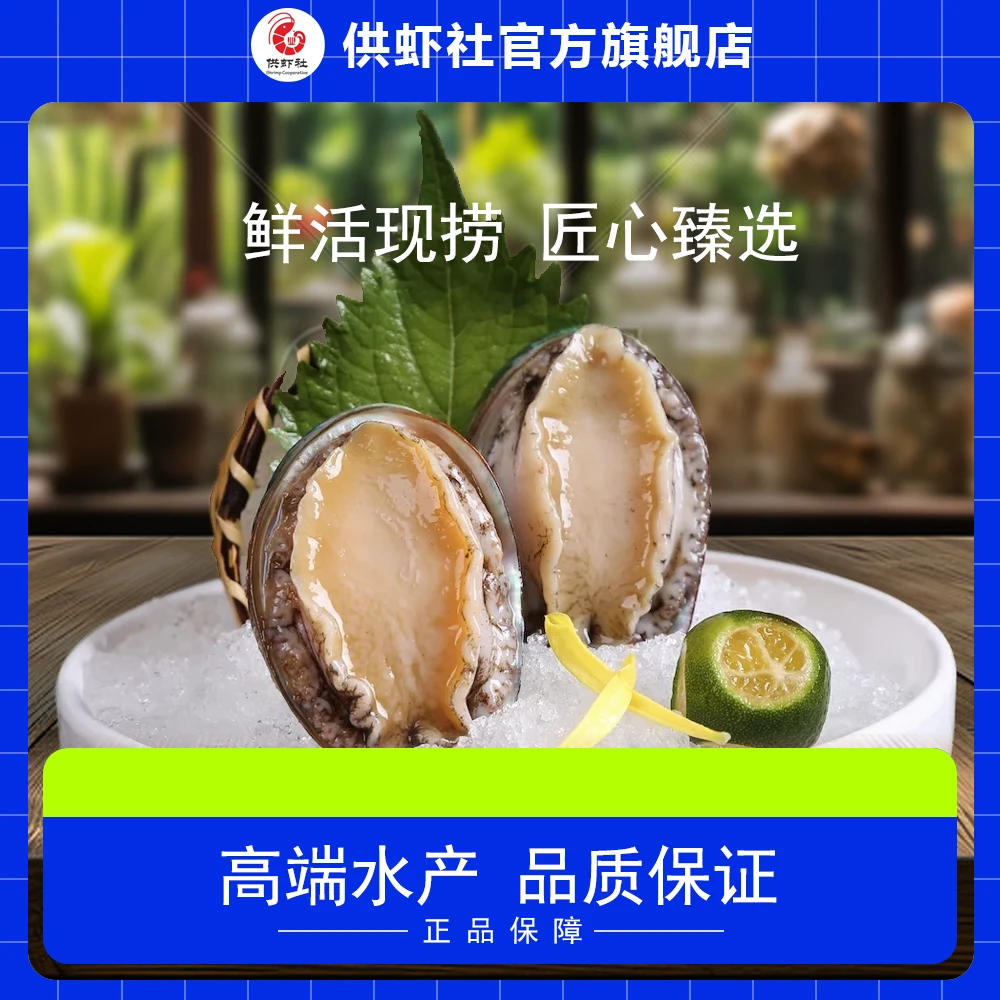 【供虾社】高品质水产冻鲍鱼