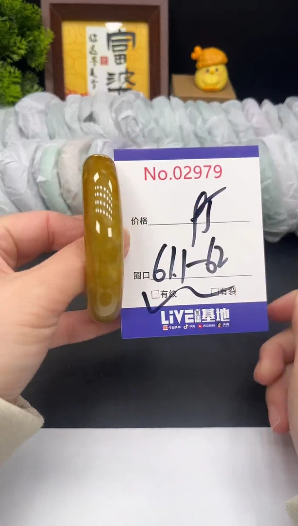 未镶嵌手镯翡翠拍下以实物为准2979