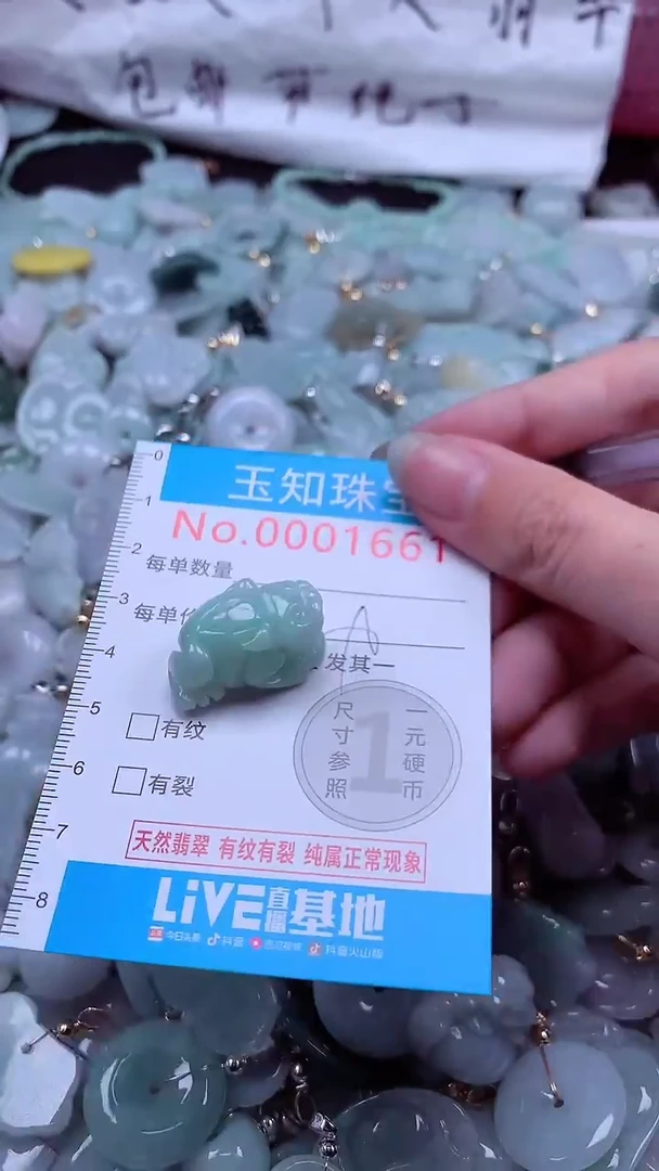 翡翠未镶嵌吊坠(不含链)1661