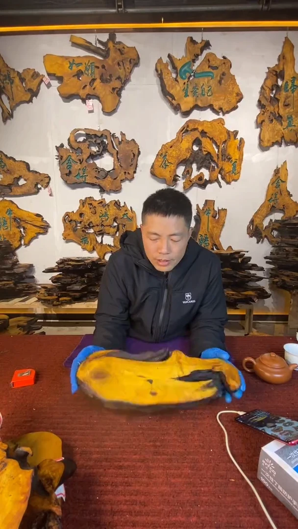 香杉木定制干泡台香杉树瘤树根