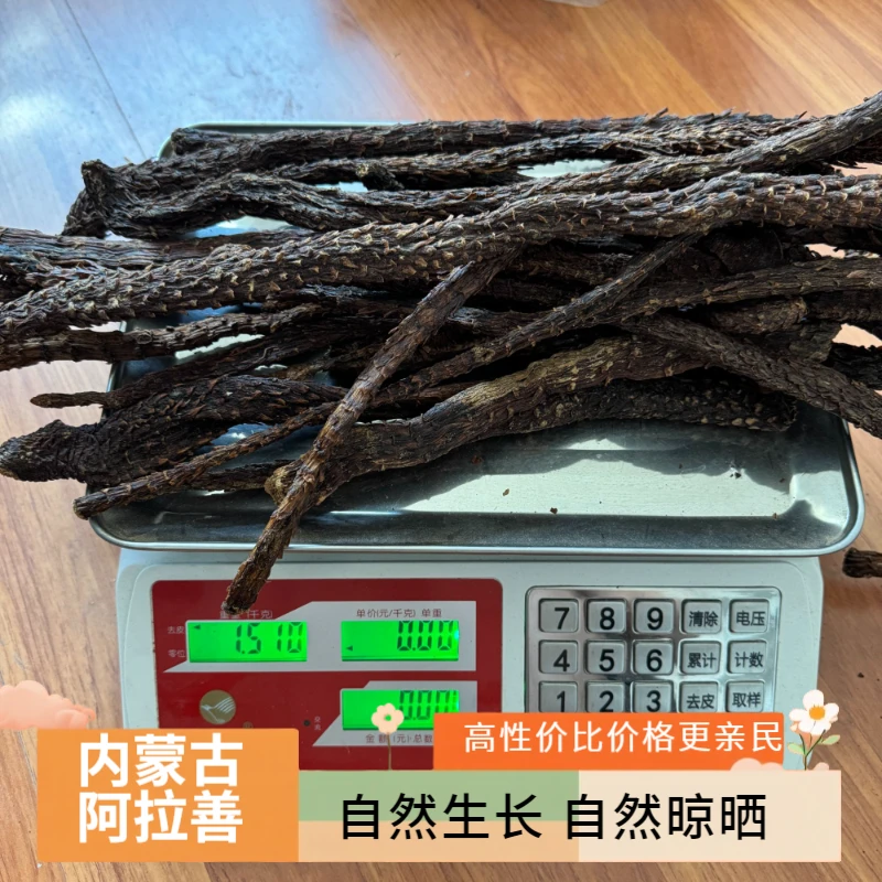 内蒙古阿拉善软质油肉苁蓉3斤