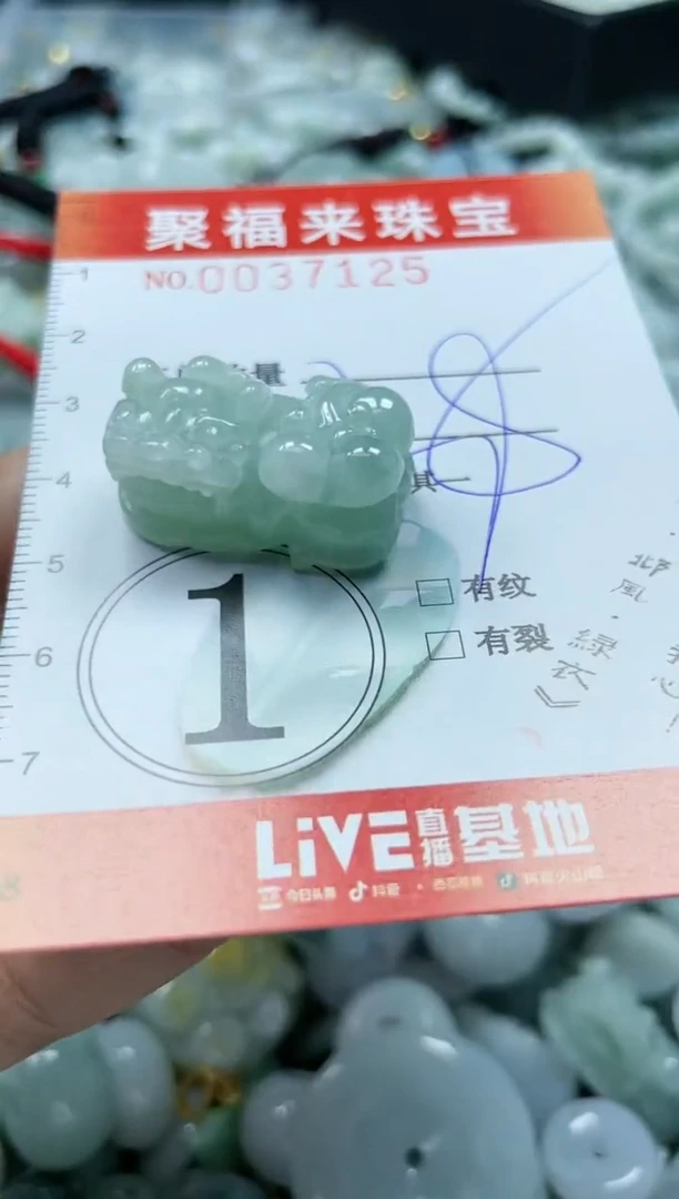 【闪购商品】翡翠颈饰未镶嵌闪购0037125