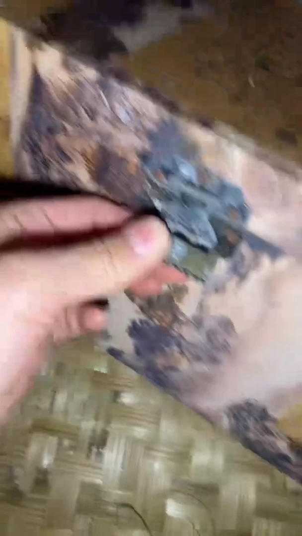 香榧木一一一一一一一一福利