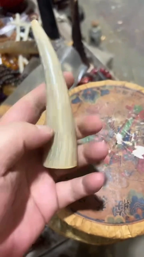 紫砂紫砂紫砂紫砂紫砂紫砂