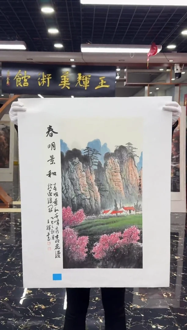 国画国画绘画山水花鸟
