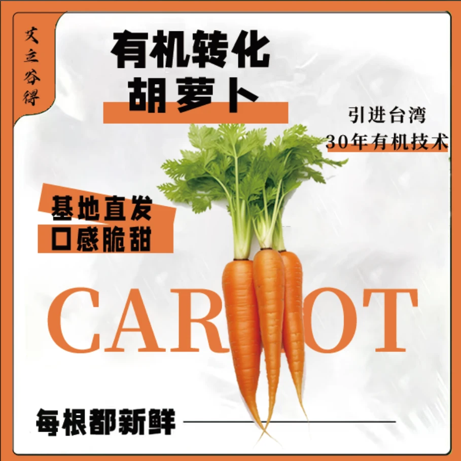 【现拔精品】新鲜成熟有机种植胡萝卜 【无农药化肥】三斤装