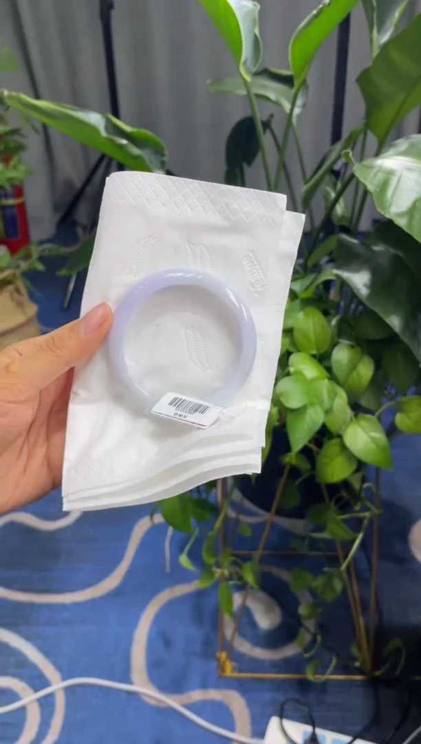 未镶嵌手镯翡翠3187