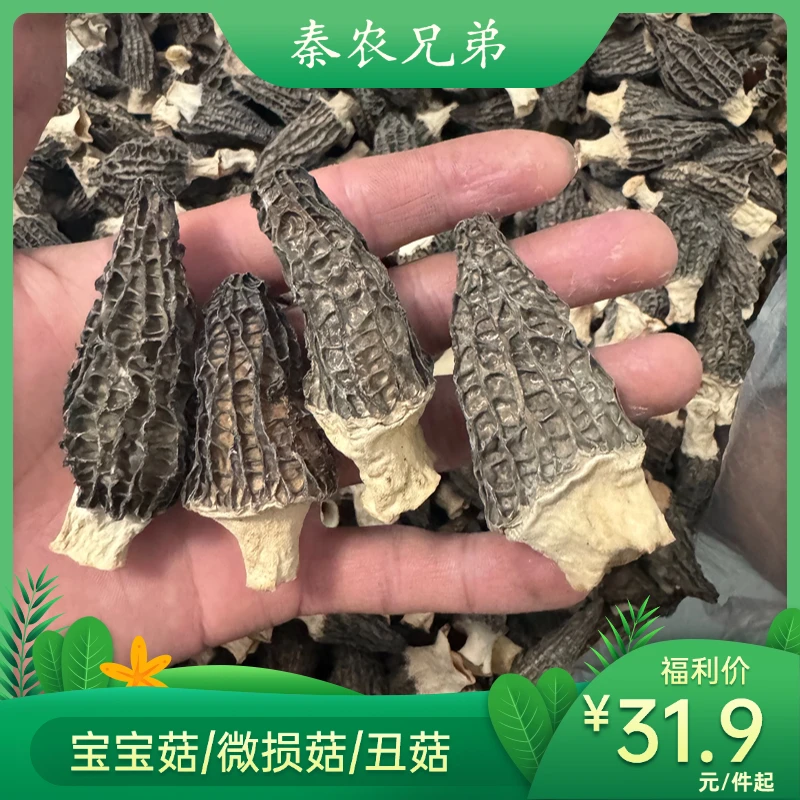 【秦农兄弟】羊肚菌宝宝菇微损菇丑菇不影响食用介意勿拍