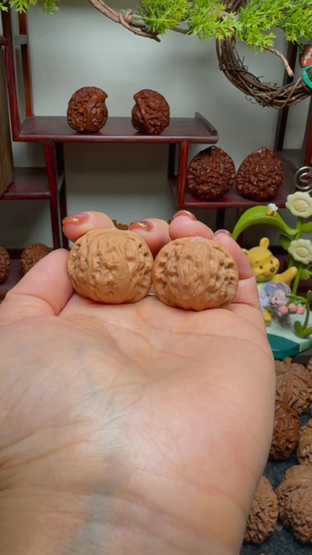 【闪购商品】文玩核桃把件野生原树秦皇岛元宝32尺寸货头