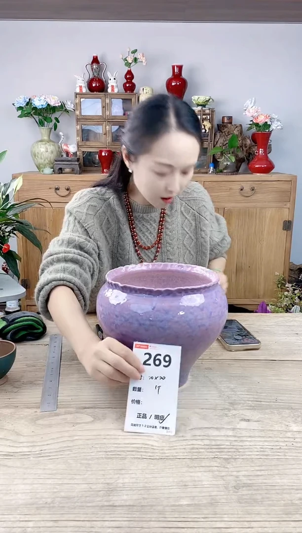 晴好园艺直播编号269