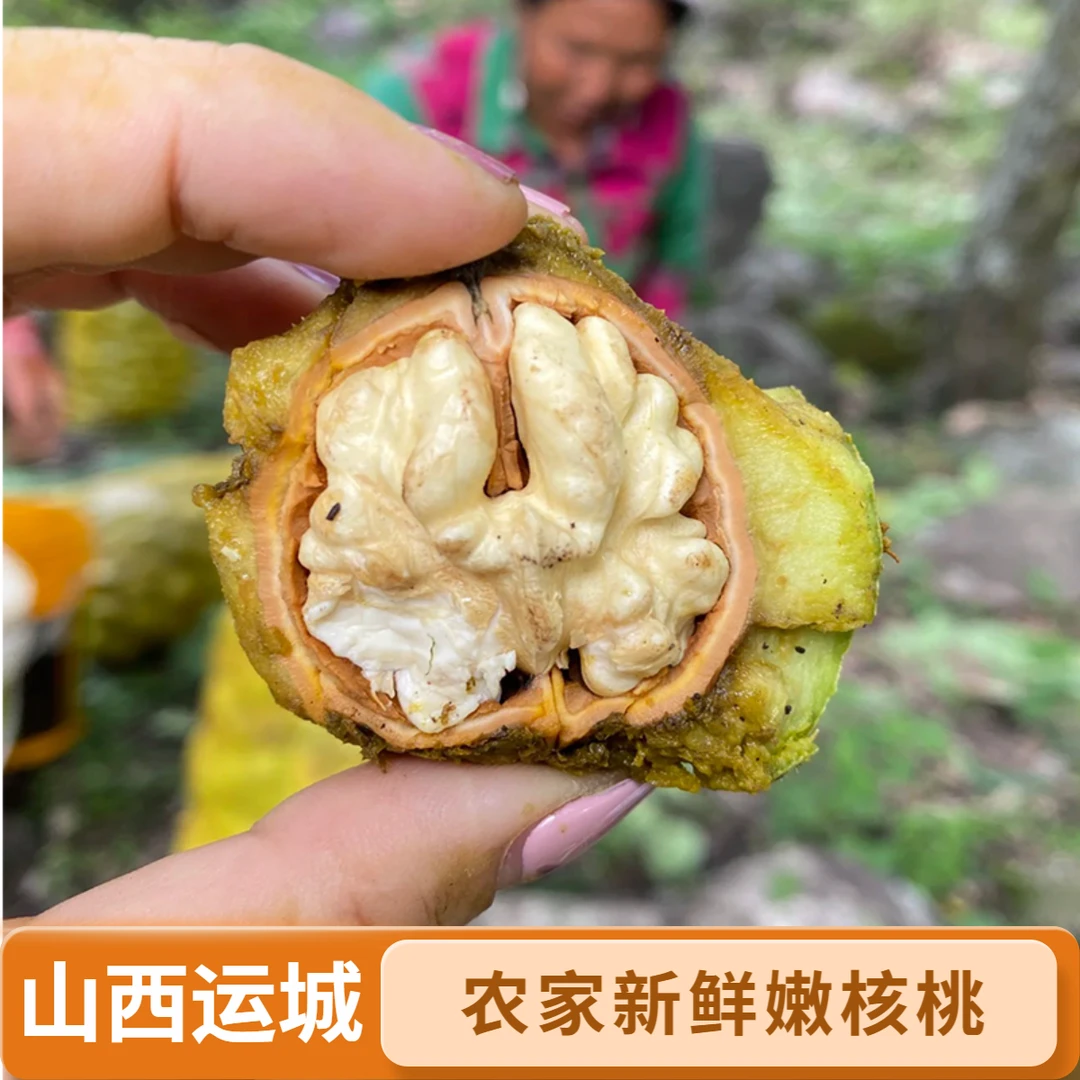 山西运城核桃新鲜青皮核桃现摘现发带青皮核桃老树新鲜生核桃