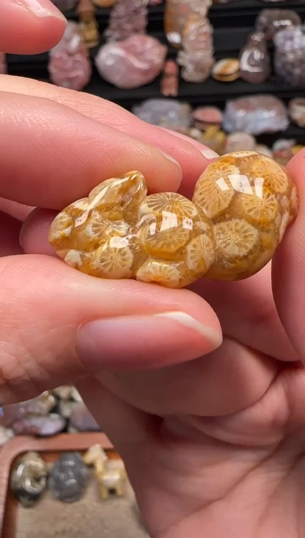 颈饰未镶嵌硅化珊瑚（珊瑚玉）865