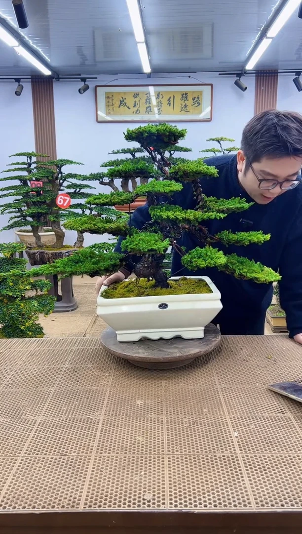 无花朵000000000000