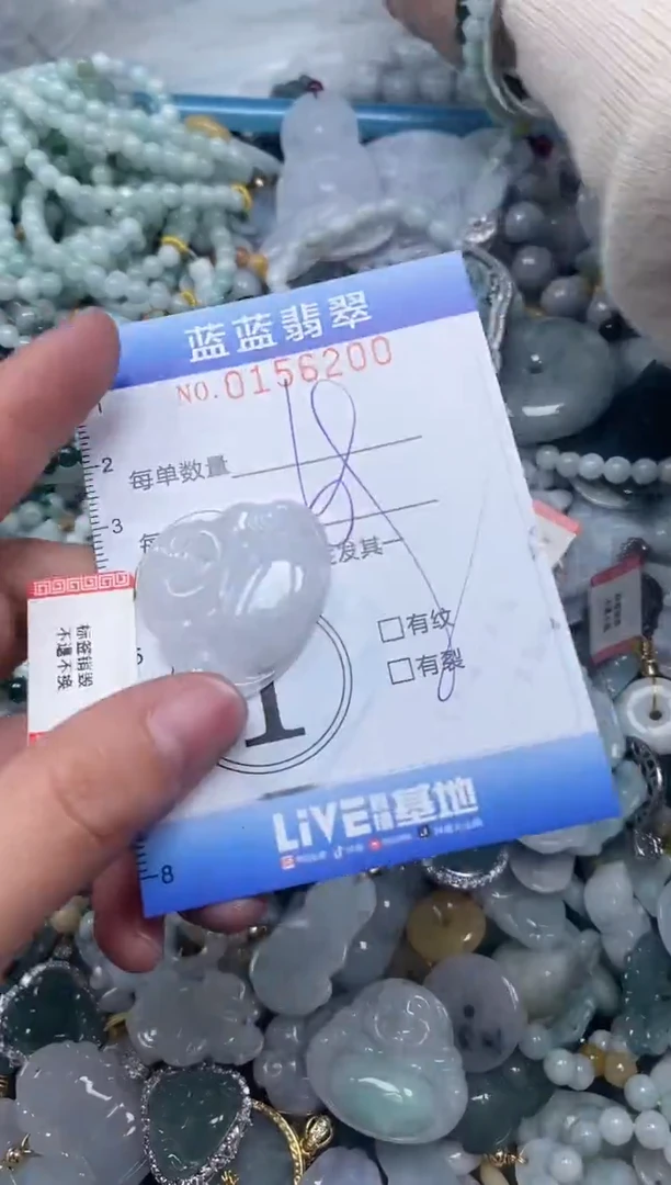 【闪购商品】翡翠颈饰未镶嵌闪购0156200