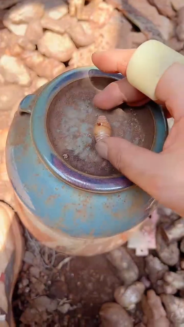 瓷片金*瓷器瓷器瓷器瓷器