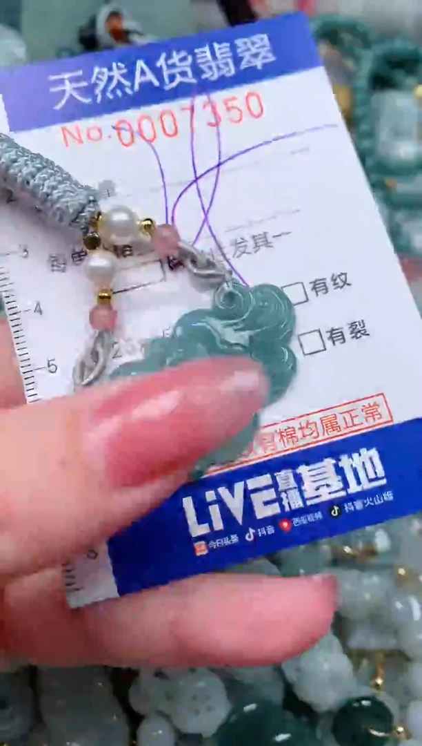 【闪购商品】翡翠颈饰未镶嵌00007350