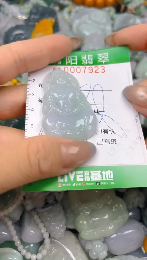 翡翠未镶嵌颈饰闪购0007923