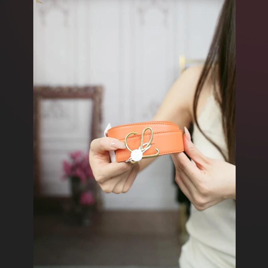 95新 LOEWE/罗意威 麦殿/腰带90/250928JJK8F07