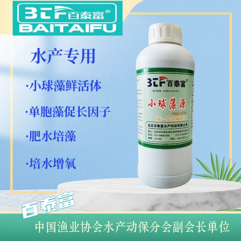 小球藻源肥水培藻增氧天然饵料专用