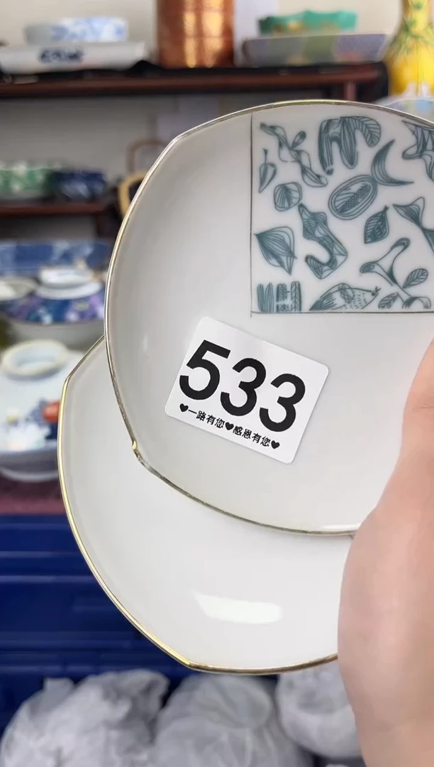 瓷片533...............