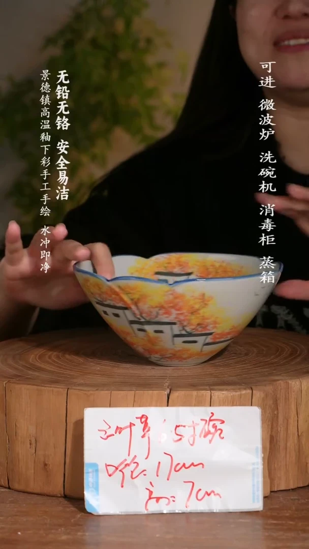 碗陶瓷景德镇高温瓷釉下彩手绘陶瓷