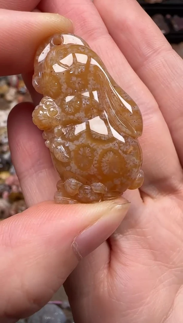 硅化珊瑚（珊瑚玉）未镶嵌颈饰560