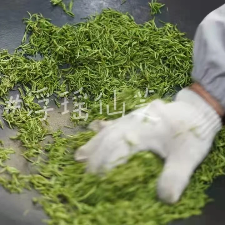 浮瑶仙芝2025年浮瑶仙芝高山云雾明前新茶茶叶