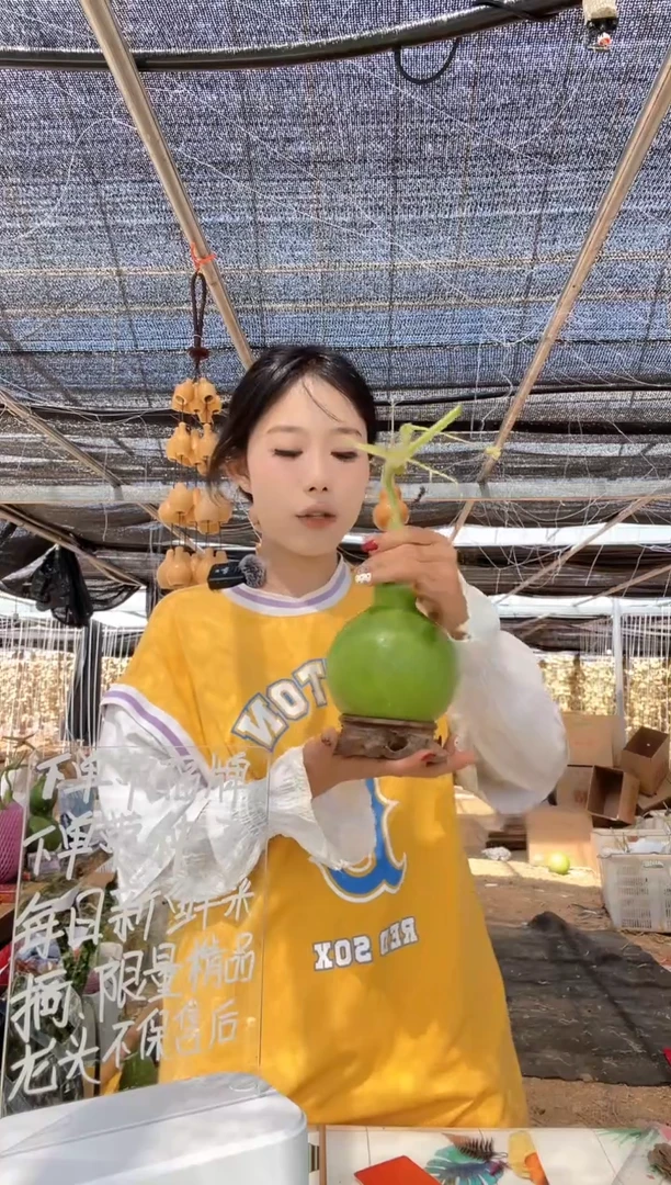 506天然葫芦摆件 一物一拍龙头不保售后