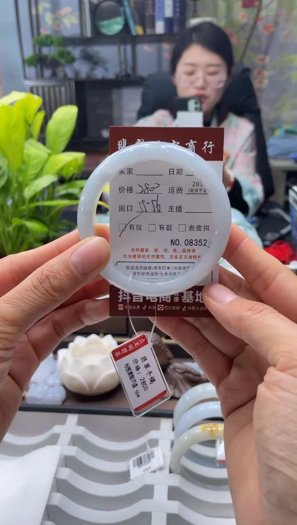 未镶嵌手镯翡翠8352