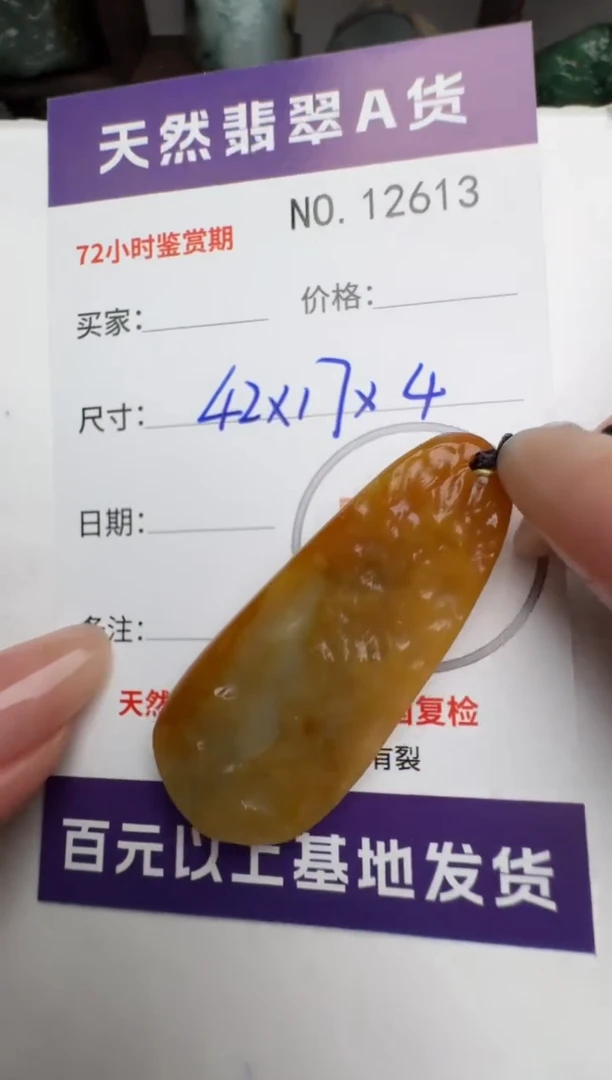 【闪购商品】翡翠颈饰未镶嵌原石12613