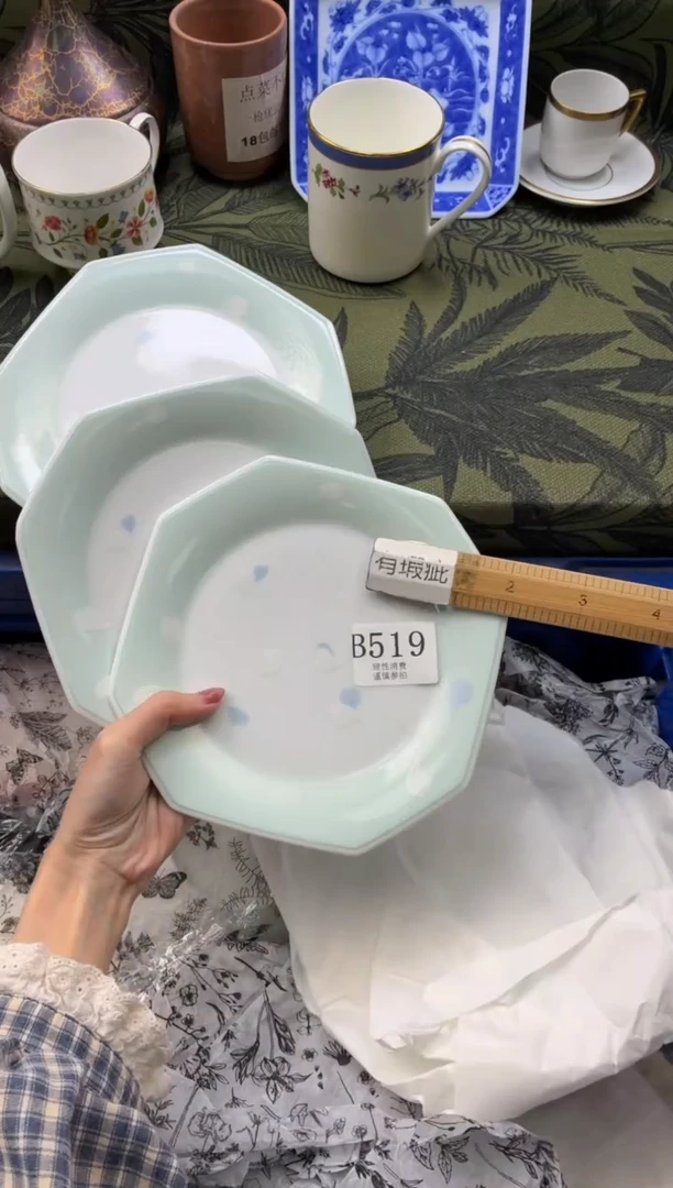 瓷片s***n       B519