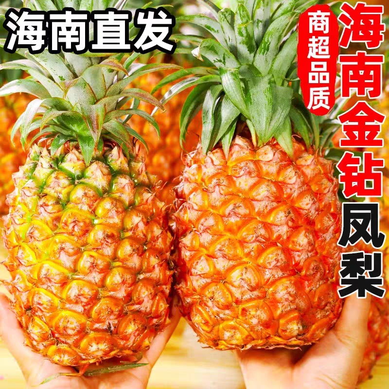 超甜树熟金钻凤梨3个装/件约5.5斤