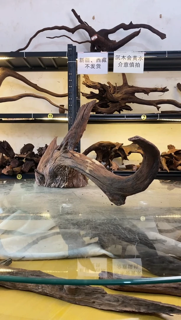 【闪购商品】柚木木艺鱼缸造景沉木200
