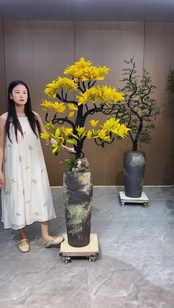 无花朵趟**刻洒金榕差价