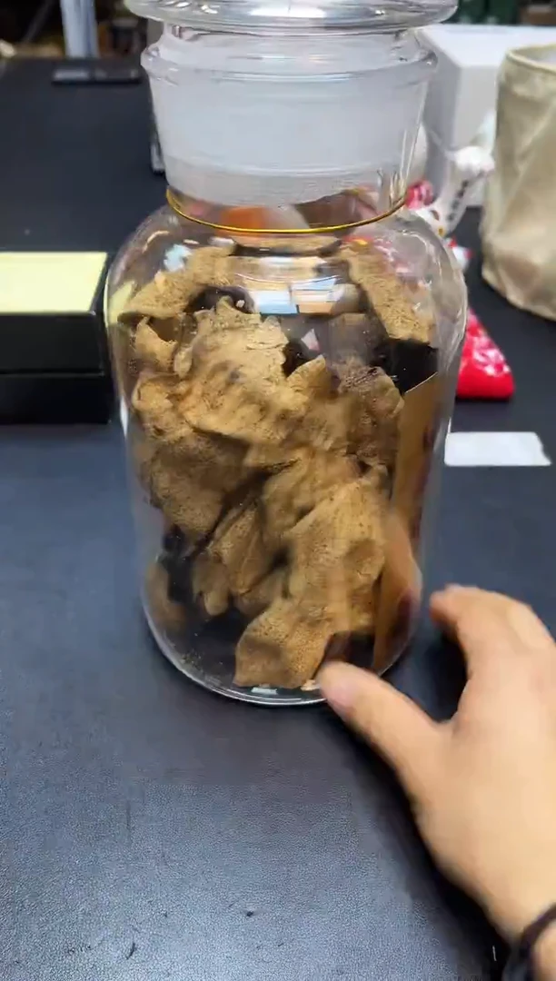 瓷片我又回来了全部漏@@WE2098