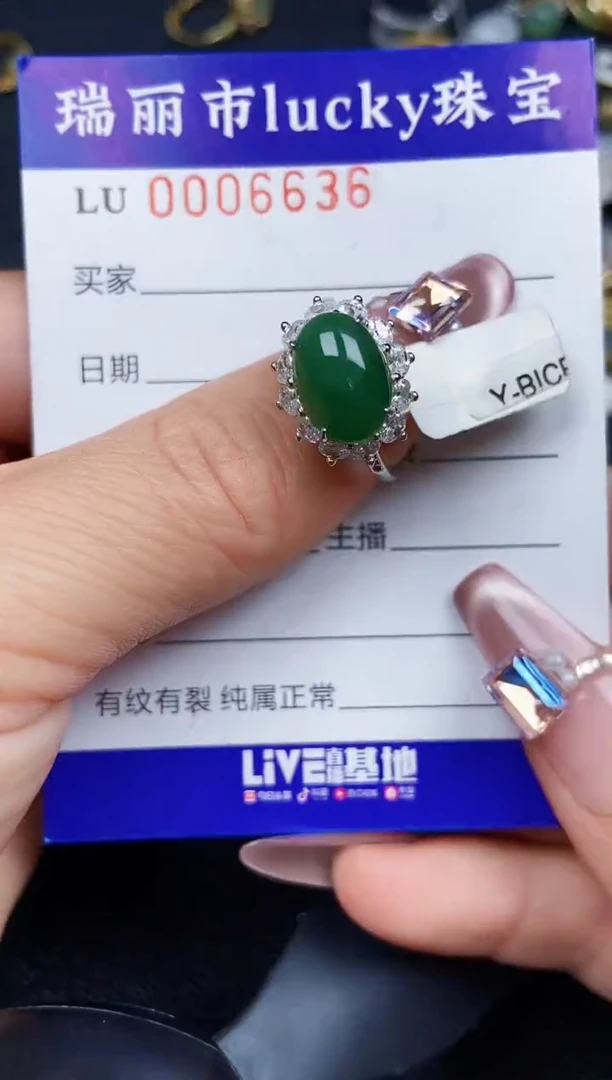 翡翠银S925镶嵌颈饰6636