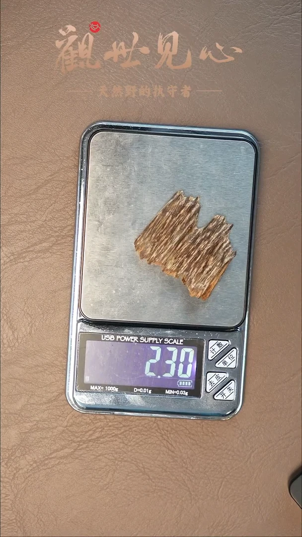 沉香沉香碎屑越南鸡母虫壳料  2.3g