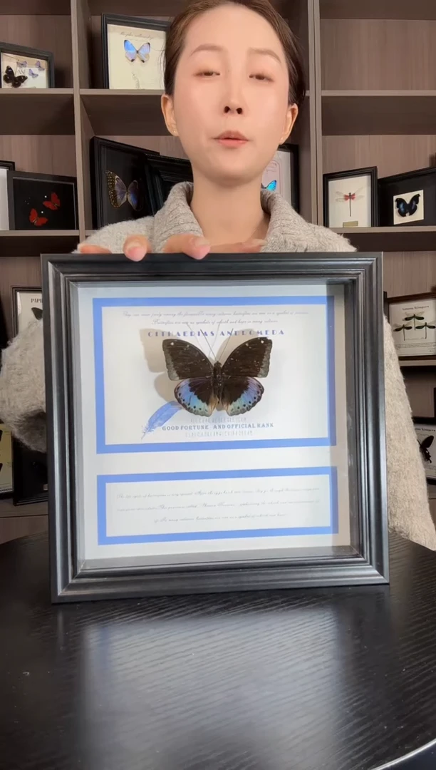 实木竖款小豹律蛱蝶（蝴蝶装饰画8寸框）