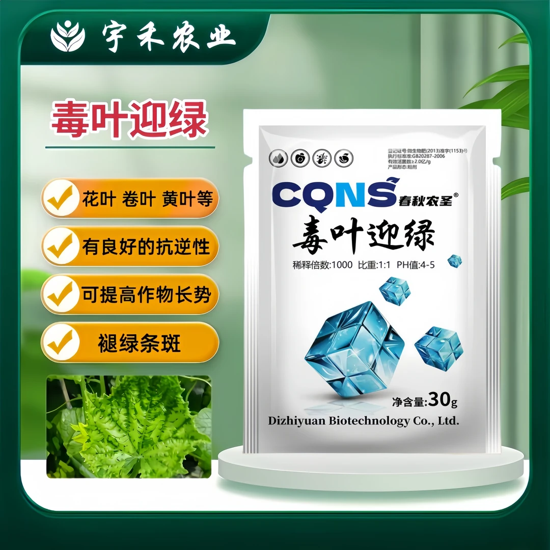 毒叶迎绿病毒病辣椒黄瓜西红柿花叶小叶卷叶落叶微生物菌剂