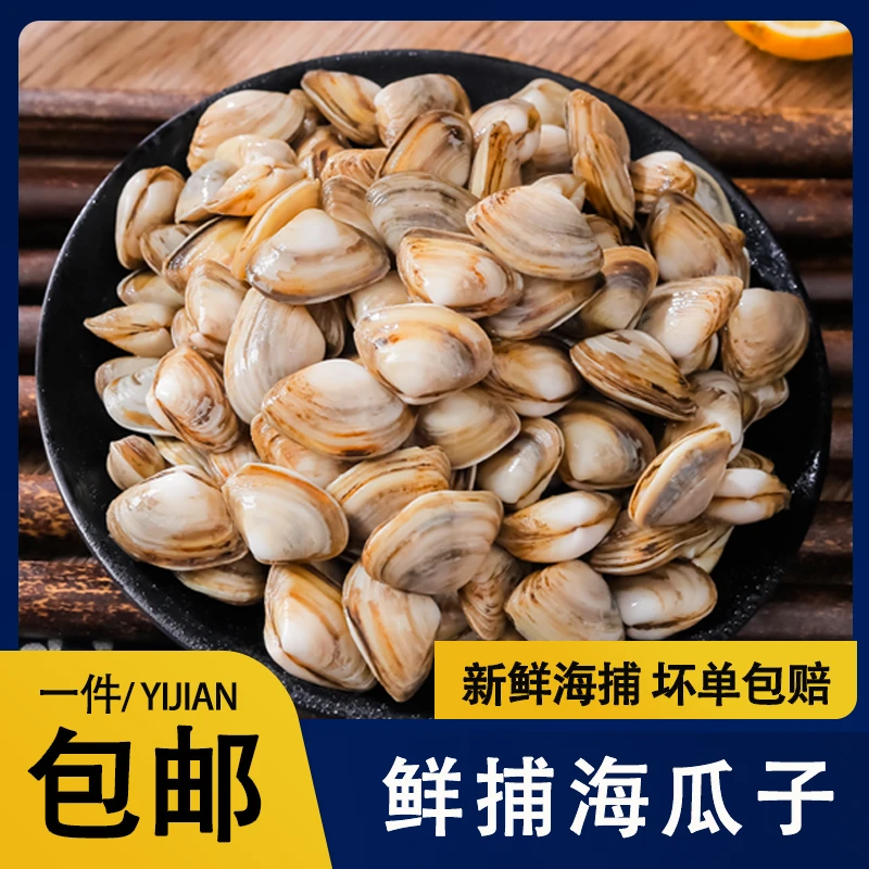 新鲜现捕小蛤蜊 海瓜子 海鲜 小海鲜5斤
