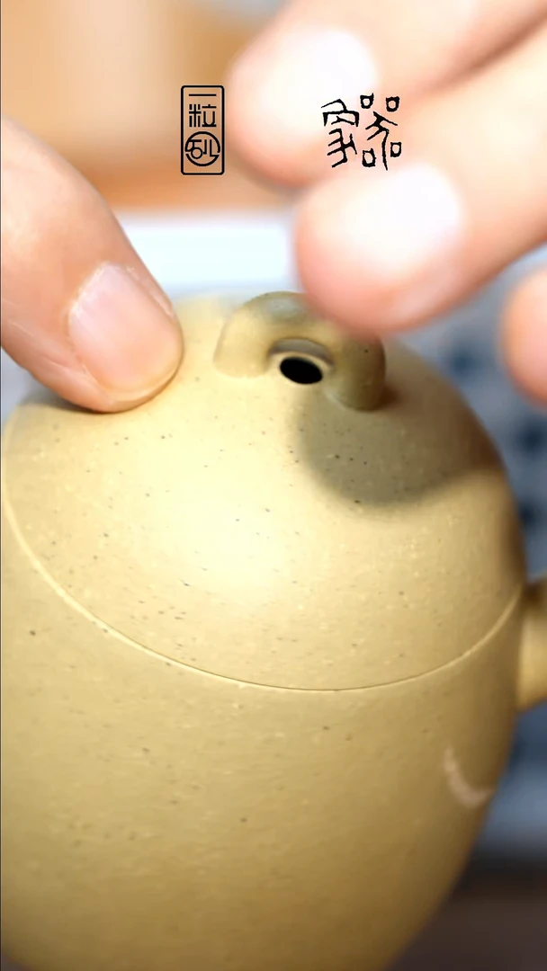 茶壶紫砂遇**丘微瑕象二十四本绿