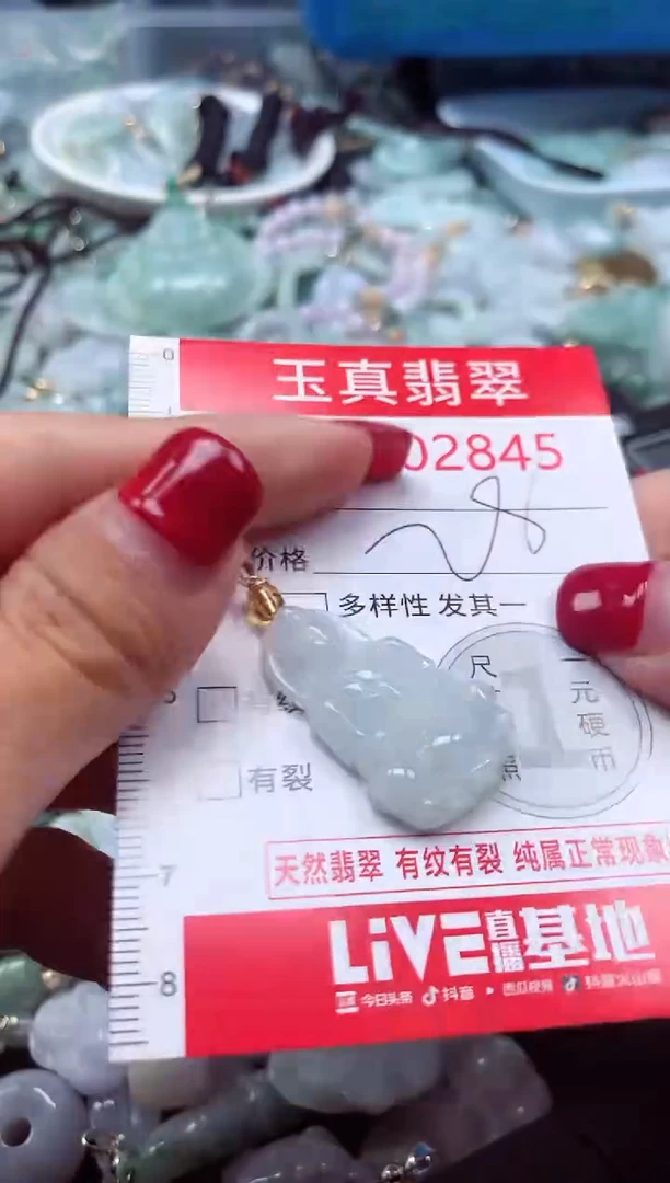 颈饰未镶嵌翡翠2845