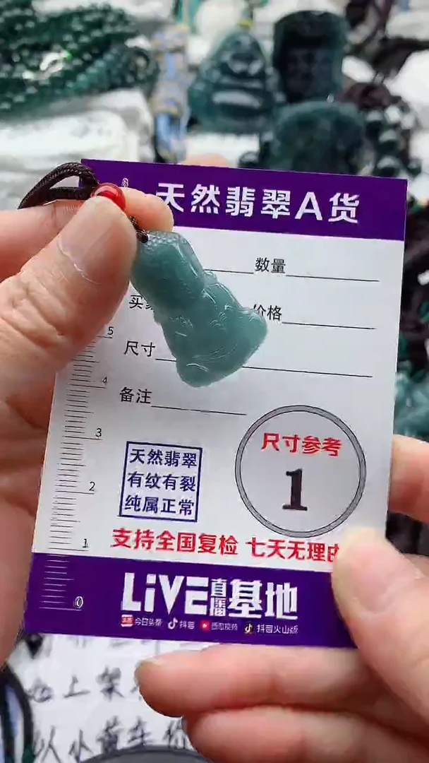 翡翠未镶嵌颈饰88888888