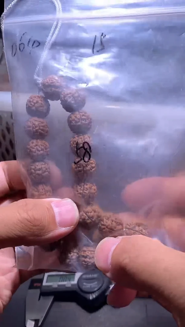 金刚菩提手串631