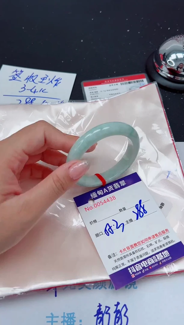 未镶嵌手镯翡翠 v