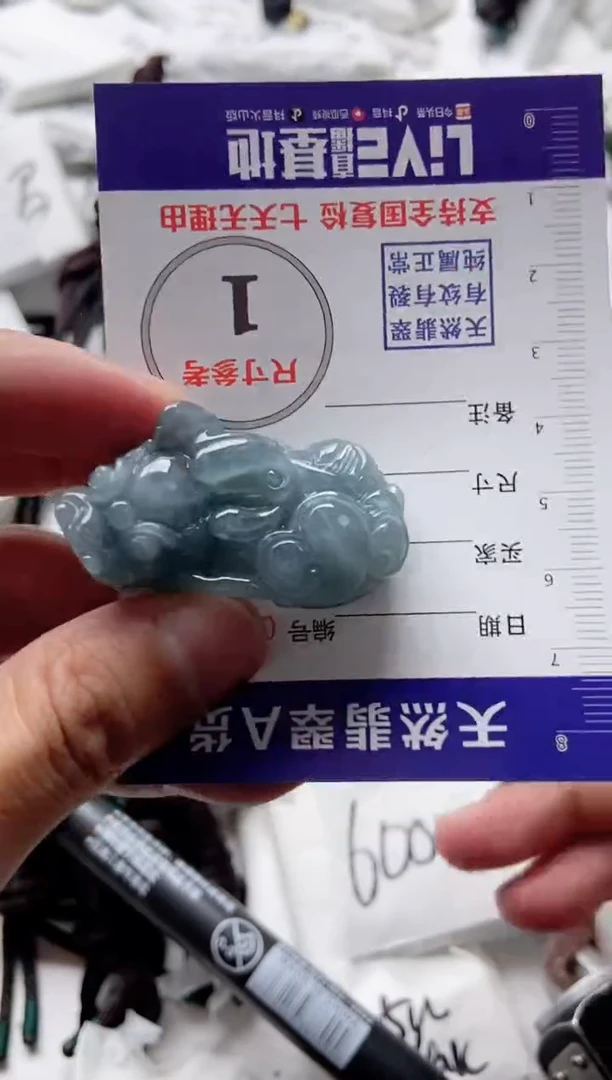 翡翠未镶嵌颈饰888888888