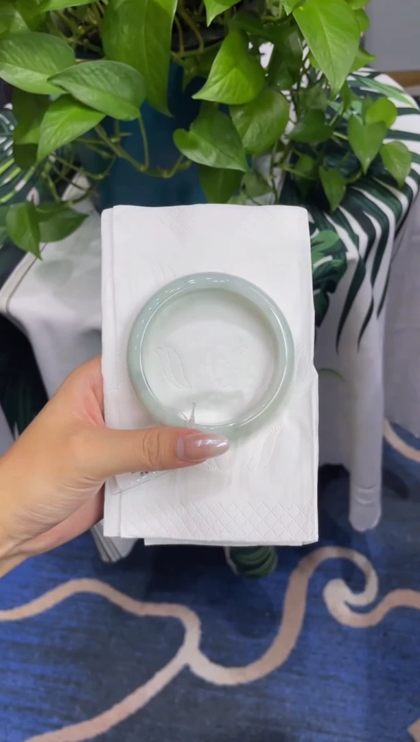 未镶嵌手镯翡翠8527****