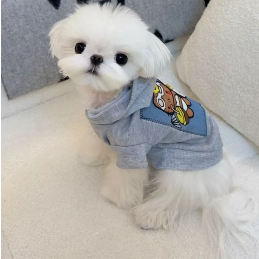 （猋猋犬舍）马尔济斯 活体链接