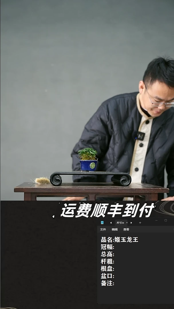 【闪购商品】20  姬玉龙王